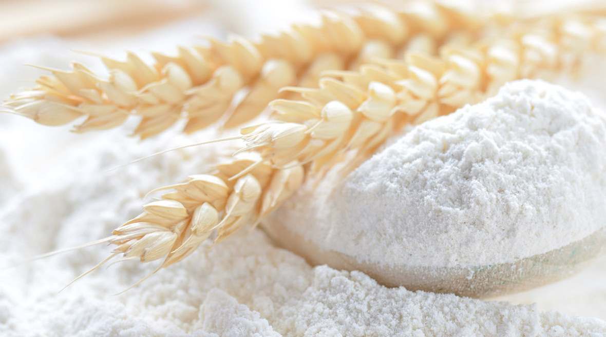 SALE OF WHEAT FLOUR FOR EXPORT, WHEAT FLOUR EXPORT SHIPPING, EXPORT SUPPLY OF FLOUR, SERVICES FOR SALE OF WHEAT FLOUR FOR EXPORT IN RUSSIA