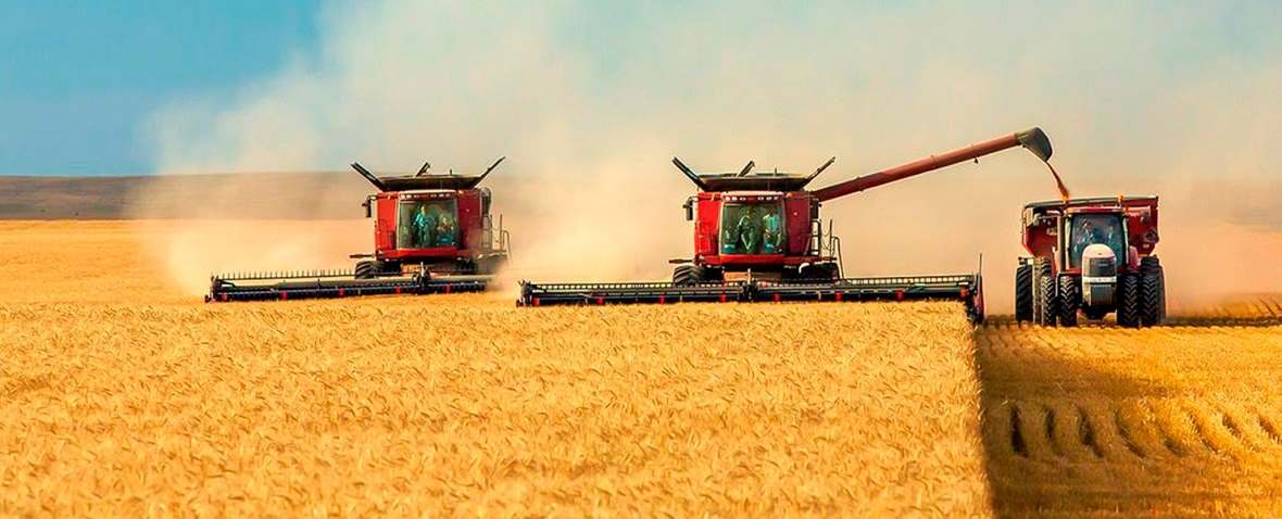 SERVICES FOR THE SALES OF AGRIBUSINESS AND AGRO ASSETS IN RUSSIA, Agribusiness, agro-industrial complex, agricultural enterprises, farms, agricultural companies, collective farms, elevators, mills, oil plants, dairies, wineries, meat processing, poultry farms, greenhouses