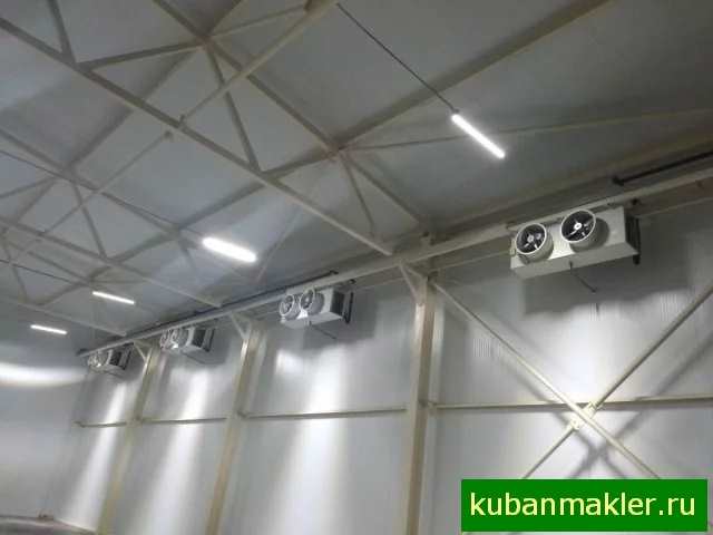 Сдается в аренду холодильный комплексобщей площадью S ± 2000 кв.м. с температурным режимом от 0 до +5 -ти градусов.