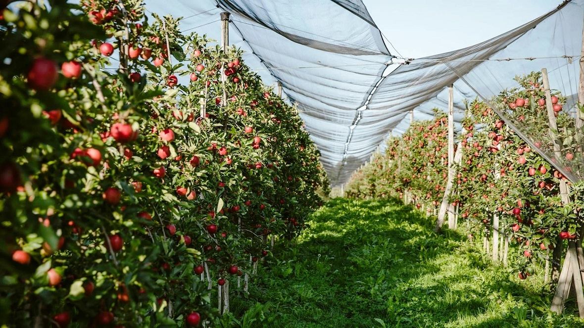 ������� ����������� ����� � ������������� ����, ���������� ����������� ���, ������ �� �����������, ������, ������� ��� �����������, ������� ���������������� ����� � ��������� ��������� � ������������� ����, ������� ������������� �������� �� ����������� ����������, ���������� � ����������� �����������, ���� ������������ ������������, ��������� ���� ������������� ����