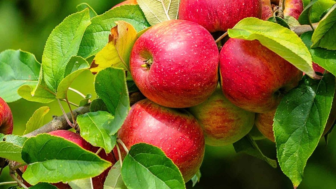 ������ ���������� ��� � ������������� ����, ������� ���������� ������������� �������� �� ��� ������, ������ �������� ��������� ���, ���������� ��������� ������������� ��������� ����, ������ ������������ ��������� ��� � ����������