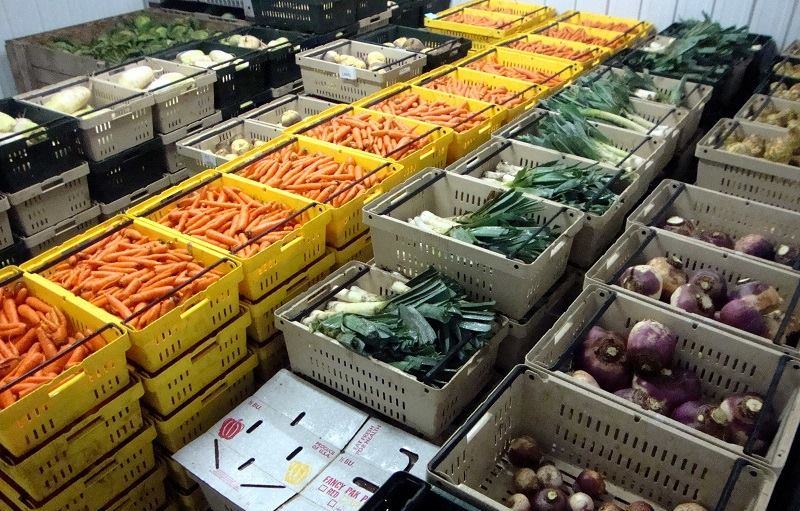 ПРОДАЖА ОВОЩЕХРАНИЛИЩ, ХРАНЕНИЕ ОВОЩЕЙ, ЗЕМЕЛЬНЫЕ УЧАСТКИ ДЛЯ СТРОИТЕЛЬСТВА ОВОЩЕХРАНИЛИЩ, АГРОБИЗНЕС В КРАСНОДАРСКОМ КРАЕ