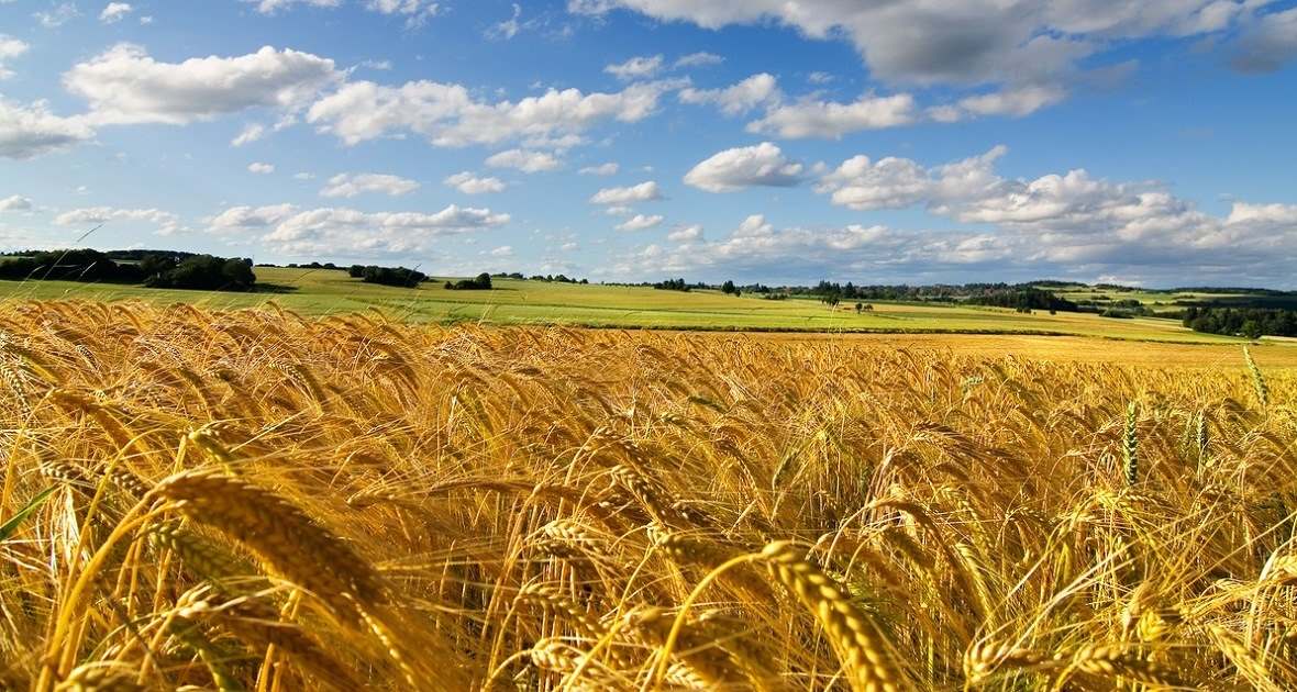 ИНВЕСТИРОВАНИЕ В КРАСНОДАРСКОМ КРАЕ, ОТРАСЛИ ДЛЯ ВЫГОДНОГО ИНВЕСТИРОВАНИЯ НА КУБАНИ, ВЫГОДНЫЕ ИНВЕСТИЦИИ НА ЮГЕ РОССИИ, ВЫГОДНО ИНВЕСТИРОВАТЬ В КРАСНОДАРСКИЙ КРАЙ