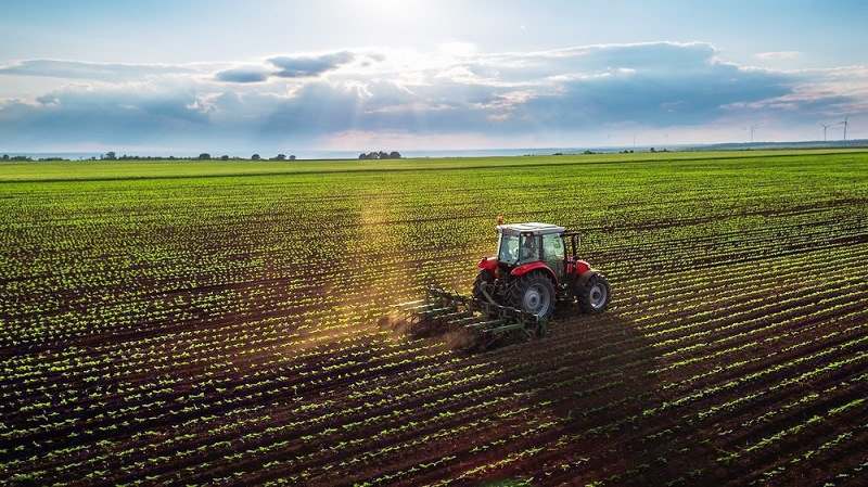 AGRIBUSINESS IN THE KRASNODAR REGION