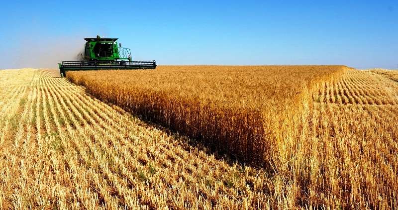 ПРОДАЖА СЕЛЬХОЗЗЕМЛИ Краснодарский край, Ростовская область, Ставропольский край, Крым, Адыгея, продажа сельхозземли в Краснодарском крае, покупка сельхозземлиземли в Краснодарском крае, купить с/х землю, Кубань, продать с/х землю на Кубани, земельные участки с/х в Краснодарском крае, Продажа сельхозугодья