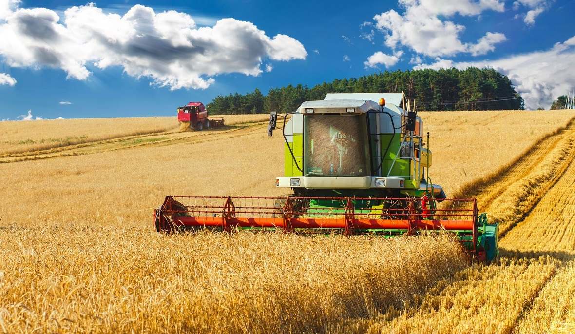 SALE AGRO REAL ESTATE, AGRIBUSINESS IN KRASNODAR REGION, SALE AGRICULTURAL LANDS, FARMING FACILITIES, AGRIBUSINESS, AGRICULTURAL COMPLEX KUBAN