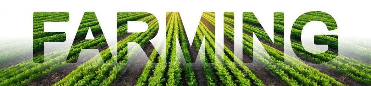 To purchase agricultural land, agricultural enterprises, agriculture, farm, Krasnodar region, Russia