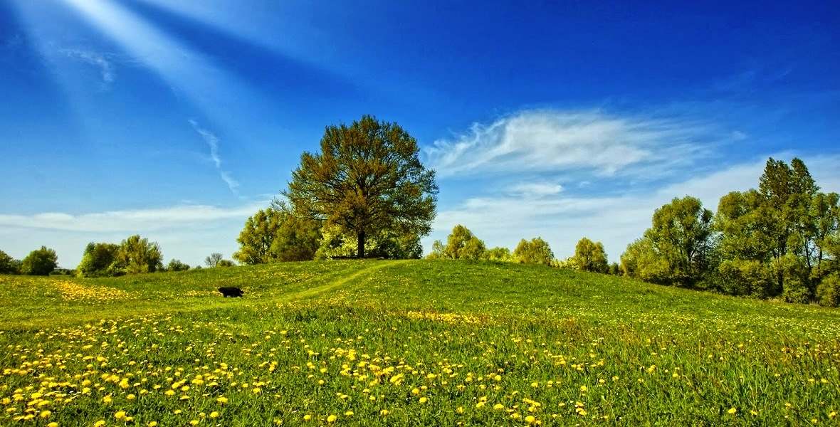 Фото На Документы Луга