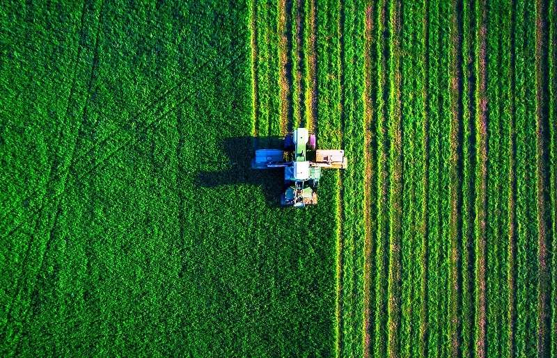 АРЕНДА, ПРОДАЖА СЕЛЬСКОХОЗЯЙСТВЕННЫХ АКТИВОВ НА ЮГЕ
