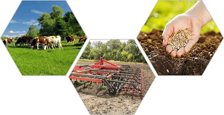ПРОДАЖА АГРОБИЗНЕСА & АГРОНЕДВИЖИМОСТИ НА ЮГЕ РОССИИ