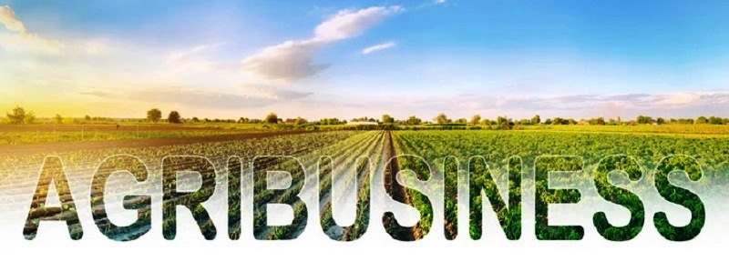 AGROCOMPLEX & AGROBUSINESS KRASNODAR REGION & SOUTH OF RUSSIA