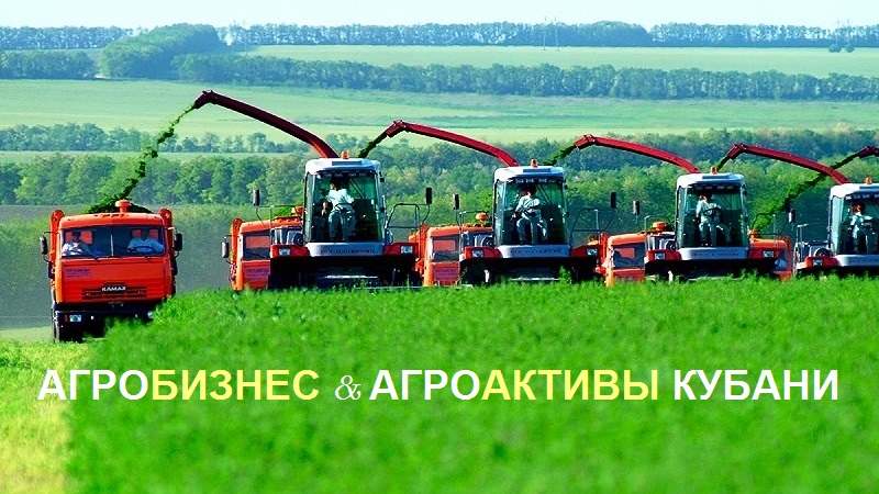 АГРОБИЗНЕС В КРАСНОДАРСКОМ КРАЕ, ПРИБЫЛЬНЫЙ АГРОБИЗНЕСЫ ПРОДАЖА, ПОКУПКА ГОТОВОГО АГРОБИЗНЕСА В КРАСНОДАРСКОМ КРАЕ, ПОКУПКА, ПРОДАЖА ДЕЙСТВУЮЩЕГО АГРОБИЗНЕСА КУБАНЬ, ЮЖНЫЙ ФЕДЕРАЛЬНЫЙ ОКРУГ