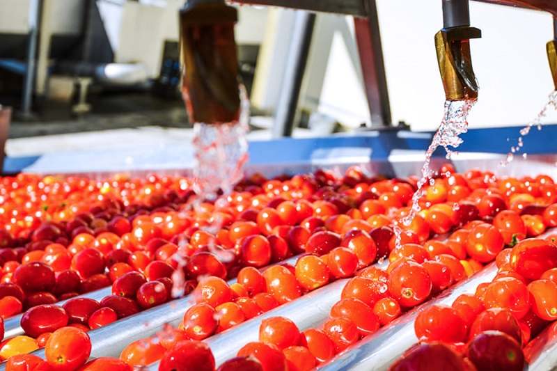 Продажа консервных заводов Краснодарском крае