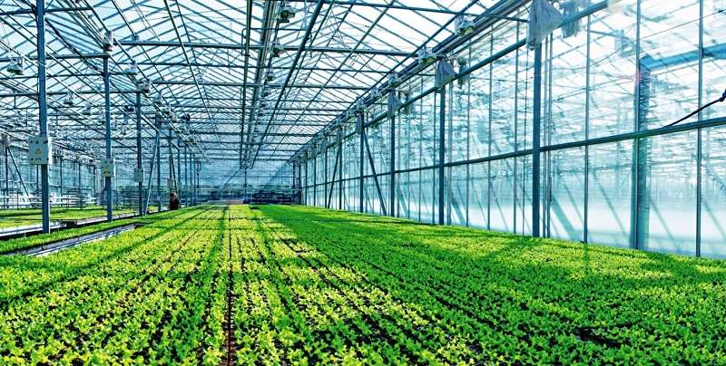 Продажа теплиц, тепличных хозяйств на Кубани
