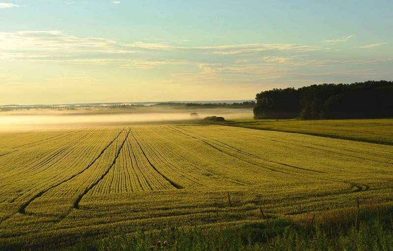 ЦЕНЫ НА АРЕНДУ ЗЕМЛИ СЕЛЬХОЗНАЗНАЧЕНИЯ В КРАСНОДАРСКОМ КРАЕ