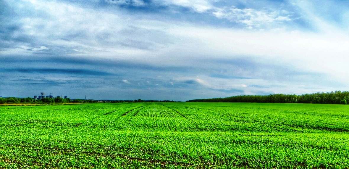 SALE OF AGRICULTURAL LAND IN THE KRASNODAR TERRITORY, The sale of agricultural land in-the-Krasnodar-Territory is open to foreign farmers and investors