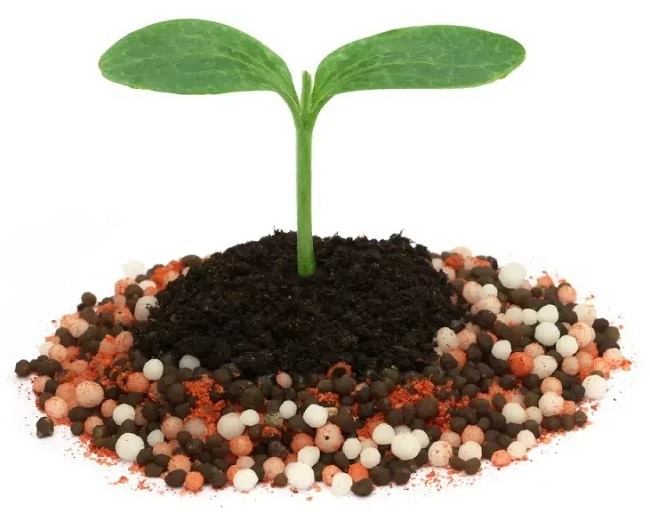 �����������, ������� ����������������� ��������� �� ������� �� ������, ������ �� �������� ����������������� ��������� (���) ����, ������, ��������, ������ �����, ����������� ������� NPK �������������, ������ �� ����������� ����������� ����������������� ���������