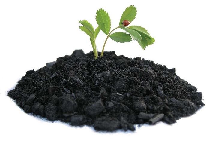 ������� ������������ ��������� �� ������, ���������� �������� ������������ ��������� �� ������������� �����, ������ �� ����������� ���������� ������������ ��������� �� �������, ������������ ���������, ����������������� ���������, �������� ���������, �������� ��������� � ������