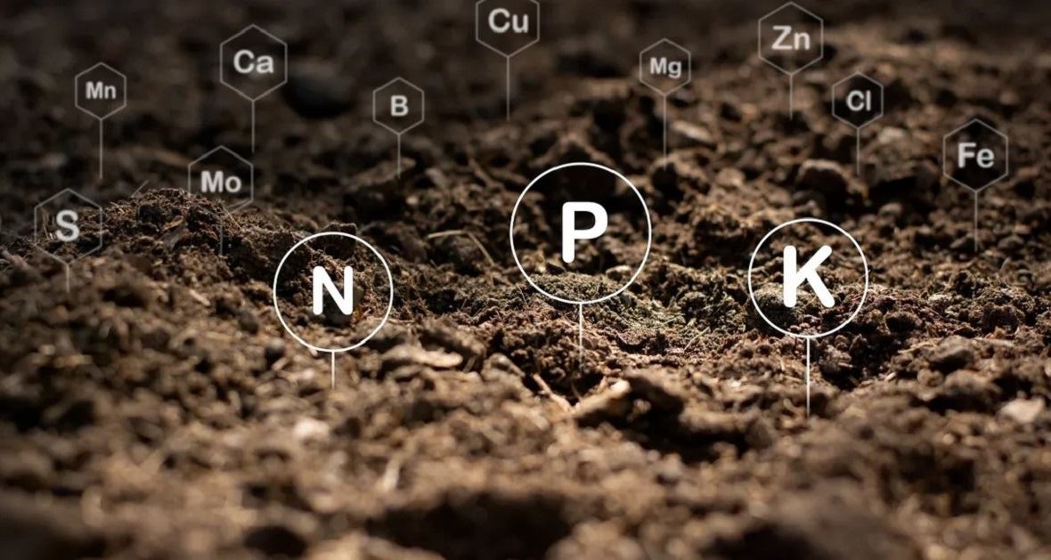 ����������������� ��������� � ������, ������, ������� ����������������� ���������, ���������� ����������������� ��������� ��� ��������, �������, ����������� ������������������ ��������� � ������