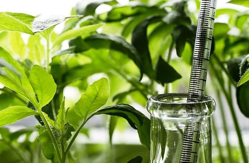 ������, ������� ���������� ����� �������� � ������, ������� ����� ����������� ����� ��������, ������� ����������� ����� ��������