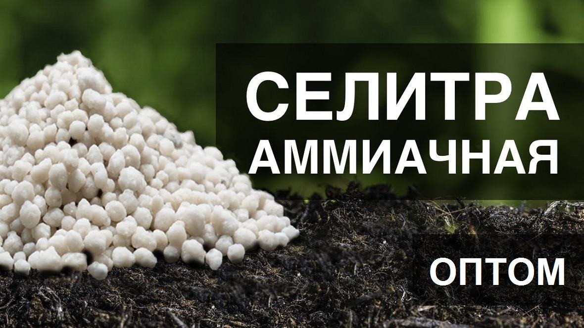      ,   ,   ,   ,     ,     ,   ,      , -  ,      ,       