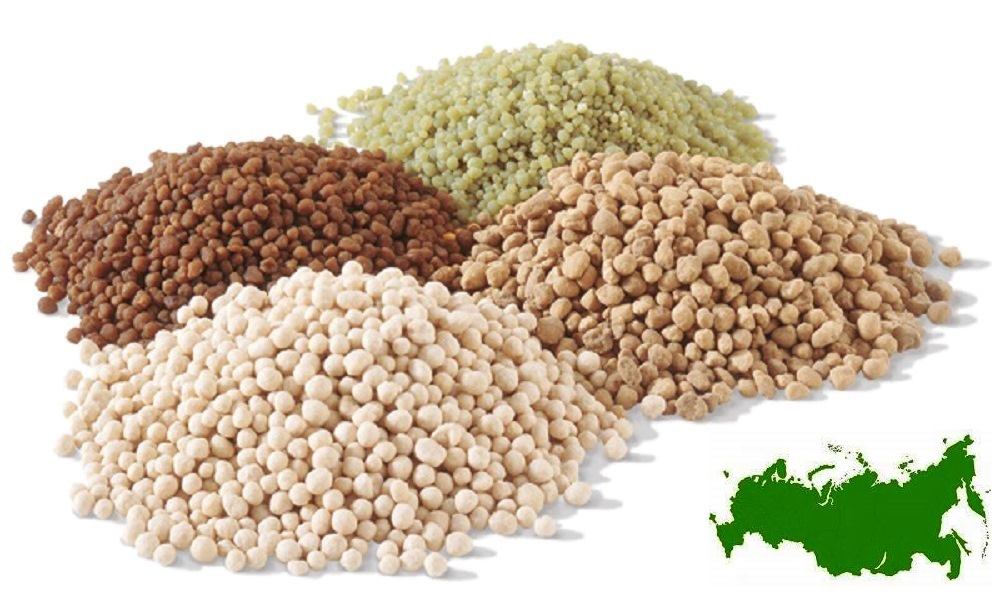 ������� ����������� ��������� � ������, ������� ���������, ��������� ���������, �������� ���������, ����������� ����������� ���������, ������ ����������� ��������� � ������