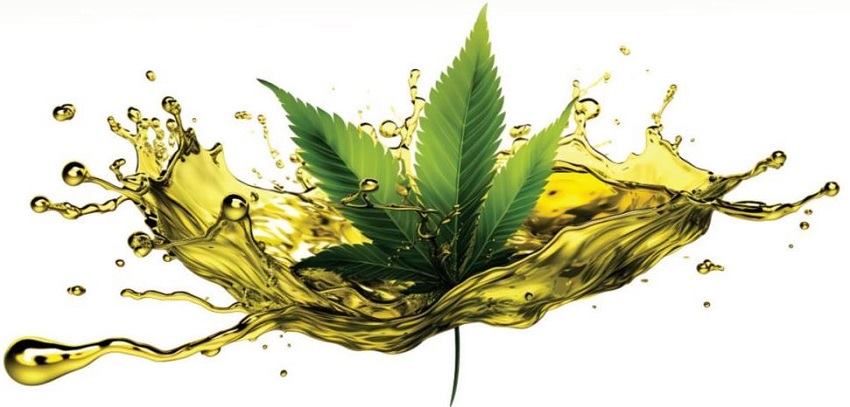 ������ ���������� ����� ����� �� ������� �� ������, ������ �� ������� ����������� ����� �� �������, ������� ����������� ����� �� �������, ����������� ������� ����������� ����� �� �������������