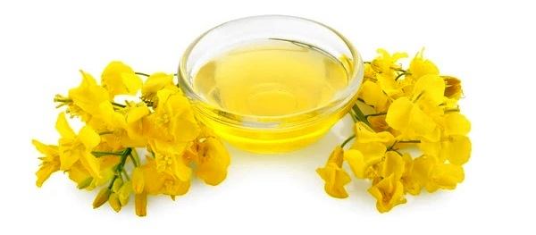 ������ �������� ����� ����� �� ������� �� ������, ������ �� ������� ��������� ����� �� �������, ������� ��������� ����� �� �������, ����������� ������� ��������� ����� �� �������������