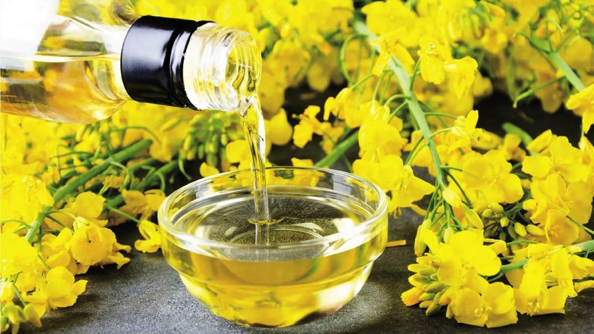 EXPORT OF REFINED RAPESEED OIL FROM RUSSIA, REFINED RAPESEED OIL FOR EXPORT, WHOLESALE SALE OF REFINED RAPESEED OIL FOR EXPORT IN RUSSIA