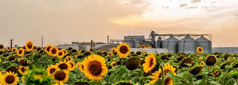 ������� ������������� ����� � ������, ������ ����� ������� ������������� � ������, ������� ��������� ���������� � ������, �����������, �����, ����