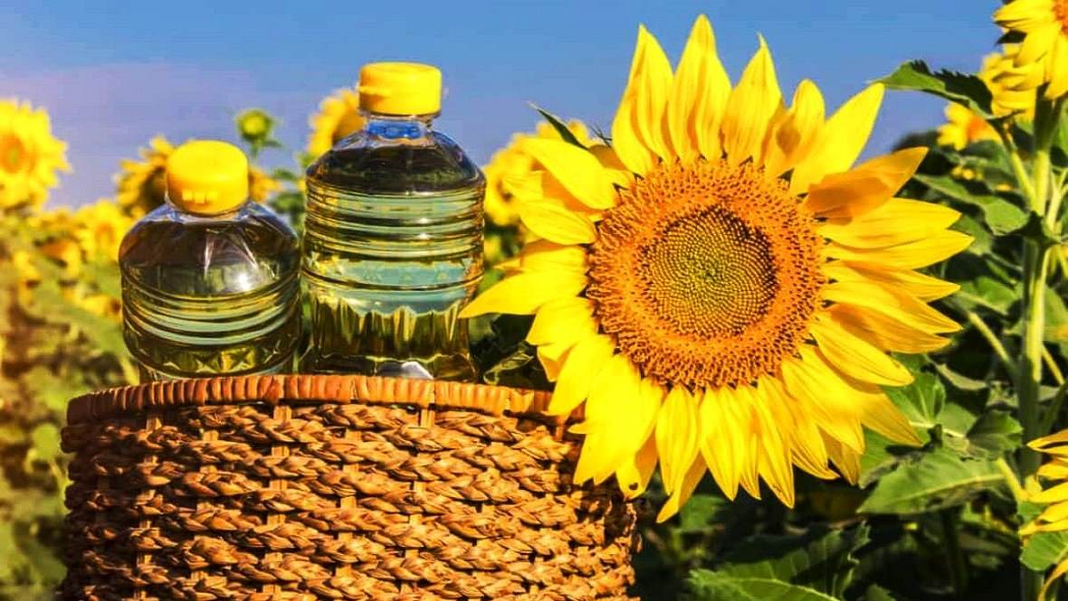 Купить Краснодарское масло подсолнечное рафинированное, продажа с завода Краснодарского масла подсолнечного, рафинированного, купить подсолнечное масло в Краснодарском крае