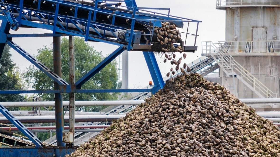 ПРОДАЖА СВЕКЛОВИЧНОЙ МЕЛАССЫ, ПАТОКИ С САХАРНЫХ ЗАВОДОВ КРАСНОДАРСКОГО КРАЯ, купить патоку, свекловичную мелассу от производителей сахара на юге России