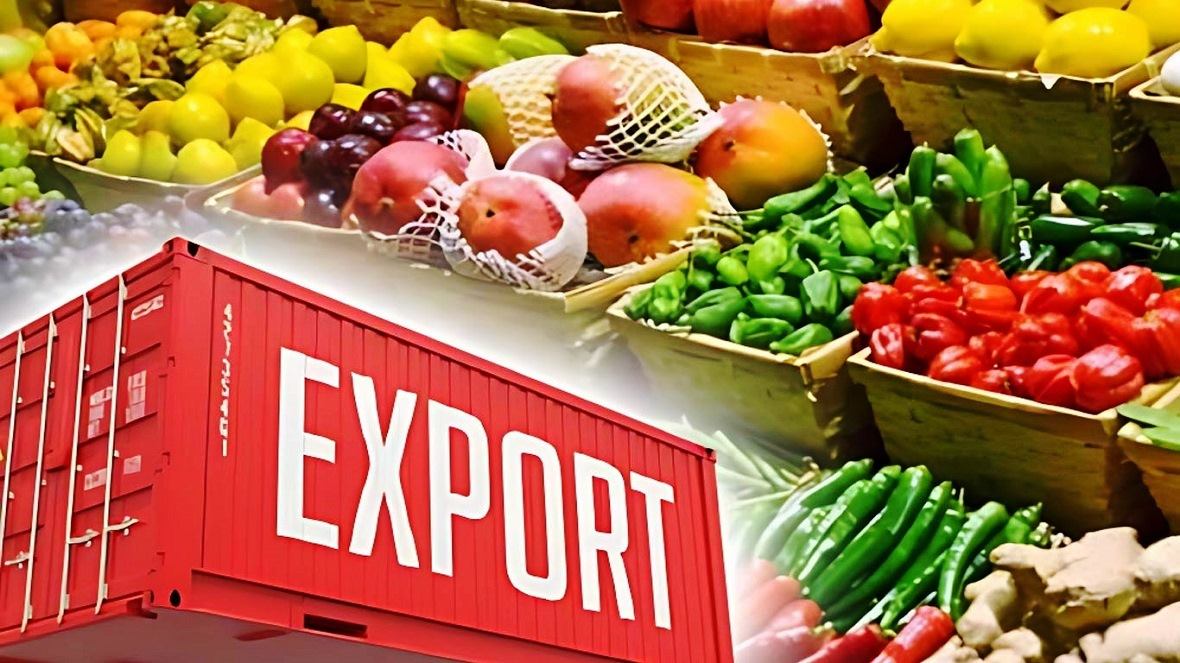 �������������� ������ �� ����������� �������������������� � ���������������� ��������� �� ������ �� ���������� �����, ���������� ������� �� ���������� ���������������� �� ����� KUBANMAKLER, ������ �� ���������� ������������� ����� �� ������� �� ������, ������� �������������������� ��������� ����� �� �������