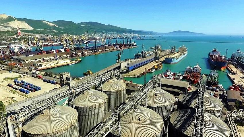 ЭКСПОРТ КУКУРУЗЫ ИЗ РОССИИ, КУКУРУЗА НА ЭКСПОРТ ОПТОМ, Экспортные поставки продовольственной кукурузы, кукурузное зерно на экспорт из России