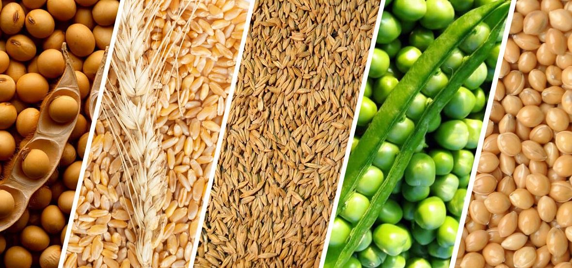 ���� �� ��������������������, ���������������� ��������� � ������, ���� �� �����, ���� �� ����, ���� �� �����, ���� �� �����, ������ �� �������, ������� ���������������� �� �������, ������� �������������������� � ���������������� ��������� �� ������ �� ���������� �����