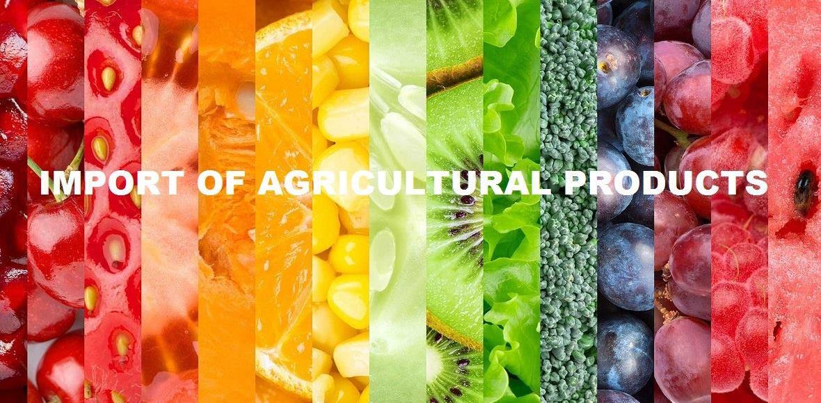 ������ ��������������������, ���������������� ��������� � ������: ���������, ���������, ��������� ��������, ���� ���������� �������, ��������� �������� ����������������, ������ ���������� ������������� ����, ������, ��������� �������, ������� ������