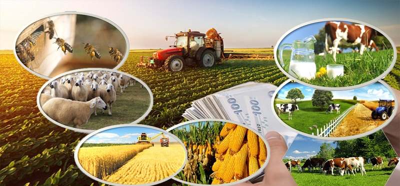 ���������� � ��� ������, ���������������� � �������������������� ������������ � ������, �������� ����������� ��������������, ������� ���� ������ ��������� �������� ��� ��� ��������������, ������ �� ������� �������� ��� ��������� �������������� � ������������, ���������� � ������