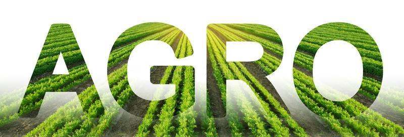 Инвестиции в АПК России, агропромышленное и сельскохозяйственное производство в России, основные направления инвестирования, большая база данных различных объектов АПК для инвестирования, услуги по подбору объектов для выгодного инвестирование в агрокомплекс, агробизнес в России