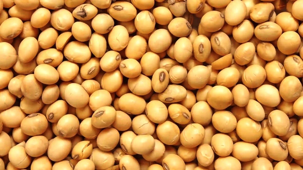    ,   ,   ,   ,   ,  ,   ,  ,   ,  -,    ,   ,  