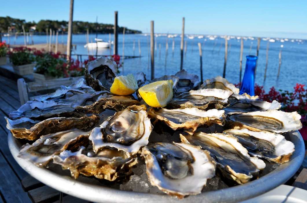 ВЫРАЩИВАНИЕ УСТРИЦ В ЧЕРНОМ МОРЕ, МОРСКИЕ УСТРИЧНЫЕ ФЕРМЫ НА ЧЕРНОМ МОРЕ, ФЕРМА УСТРИЦ ПОД КЛЮЧ, ПРОЕКТ УСТРИЧНАЯ ФЕРМА, БИЗНЕС НА УСТРИЦАХ