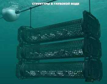 САДКИ УСТРИЧНЫЕ, ОБОРУДОВАНИЕ ДЛЯ УСТРИЧНЫХ ФЕРМ