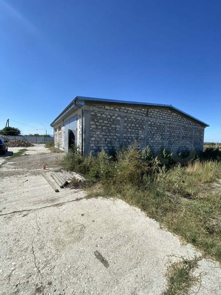 ПРОДАЮТСЯ УСАДЬБА В КРЫМУ, ФРУКТОВЫЙ САД, САД МИНДАЛЯ, ФЕРМЕРСКОЕ ХОЗЯЙСТВО, ДЕЙСТВУЮЩИЙ БИЗНЕС В КРЫМУ