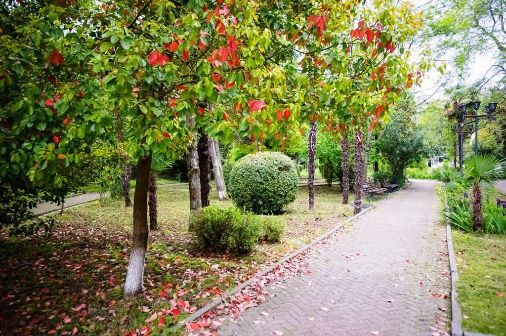 ПРОДАЕТСЯ УНИКАЛЬНЫЙ ЗЕМЕЛЬНЫЙ УЧАСТОК 13 ГА КУРОРТ АДЛЕР • СОЧИ
