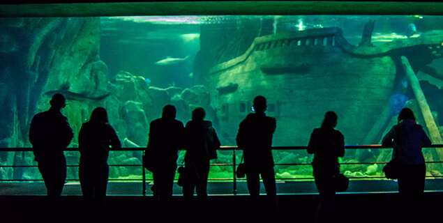     SOCHI DISCOVERY WORLD AQUARIUM