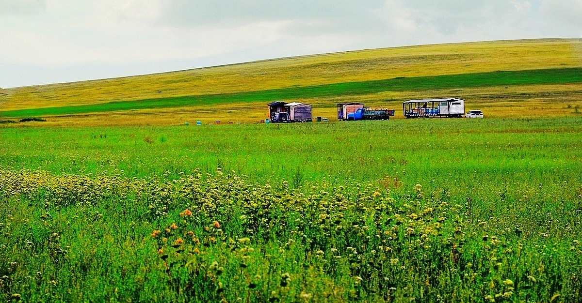 ПРОДАЖА МЕДА ОПТОМ И В РОЗНИЦУ В КРАСНОДАРЕ И КРАСНОДАРСКОМ КРАЕ