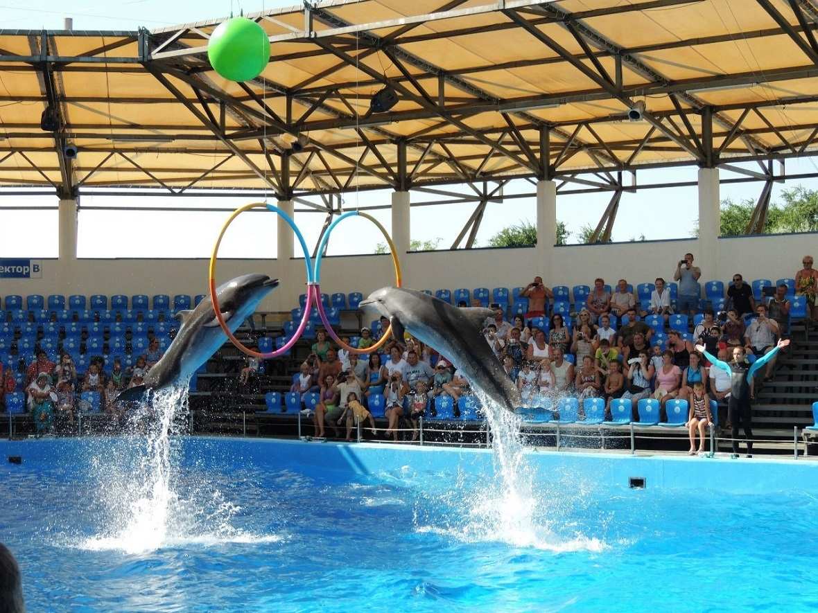    Azov Dolphinarium Nemo    