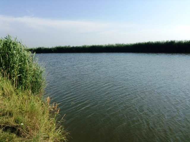 ЗАРЫБЛЕННЫЕ ПРУДЫ ЗЕРКАЛО18 ГА В АБИНСКОМ РАЙОНЕ, КРАСНОДАРСКИЙ КРАЙ