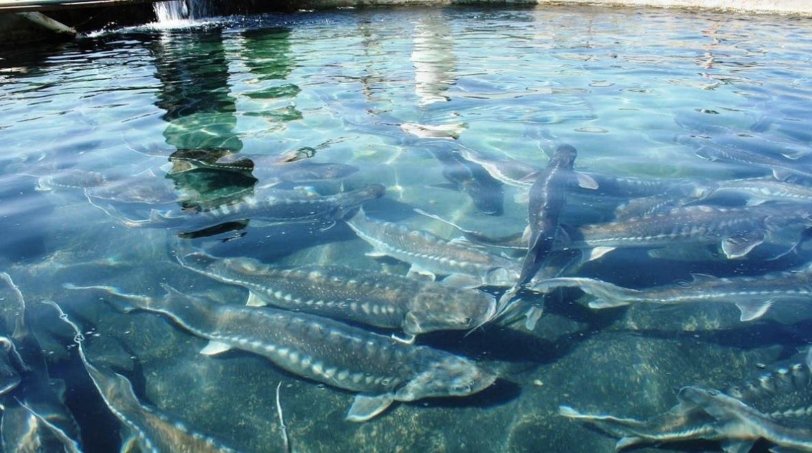 ������� ����������� ������������� �������� � ������������� ����, ������ ������������� ���������, �������� ����, ��������� �����, ���� ������, ������� �����, �������� ���� ��������, ����� ����, ����������, �����, �����, ������, ���� �� ��� ������