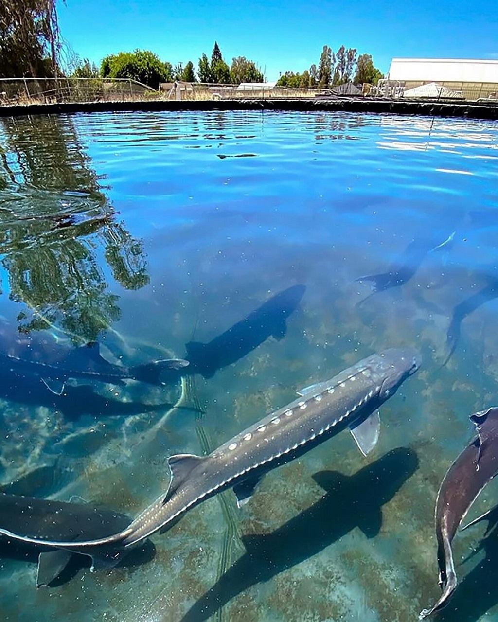 ������� ����������� ������������� �������� � ������������� ����, ������ ������������� ���������, �������� ����, ��������� �����, ���� ������, ������� �����, �������� ���� ��������, ����� ����, ����������, �����, �����, ������, ���� �� ��� ������