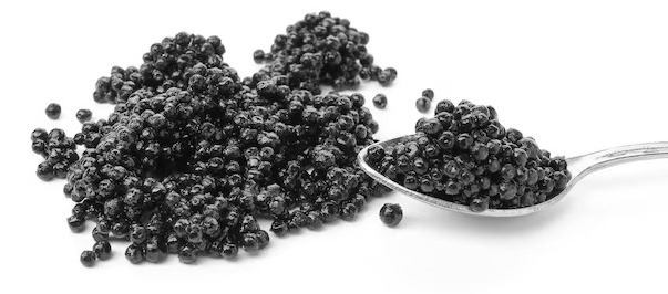 ������� ����������� ������������� �������� � ������������� ����, ������ ������������� ���������, �������� ����, ��������� �����, ���� ������, ������� �����, �������� ���� ��������, ����� ����, ����������, �����, �����, ������, ���� �� ��� ������